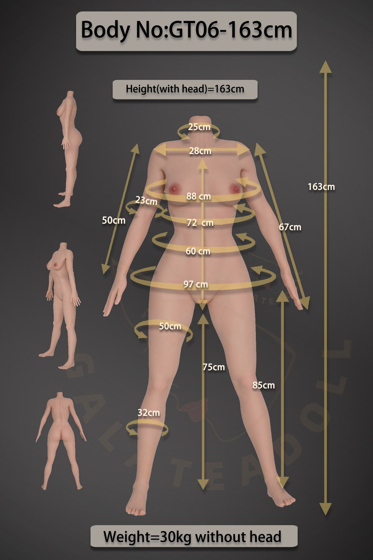 Fiona Sex doll (Galatea Doll 163cm D-cup #163 silicone)