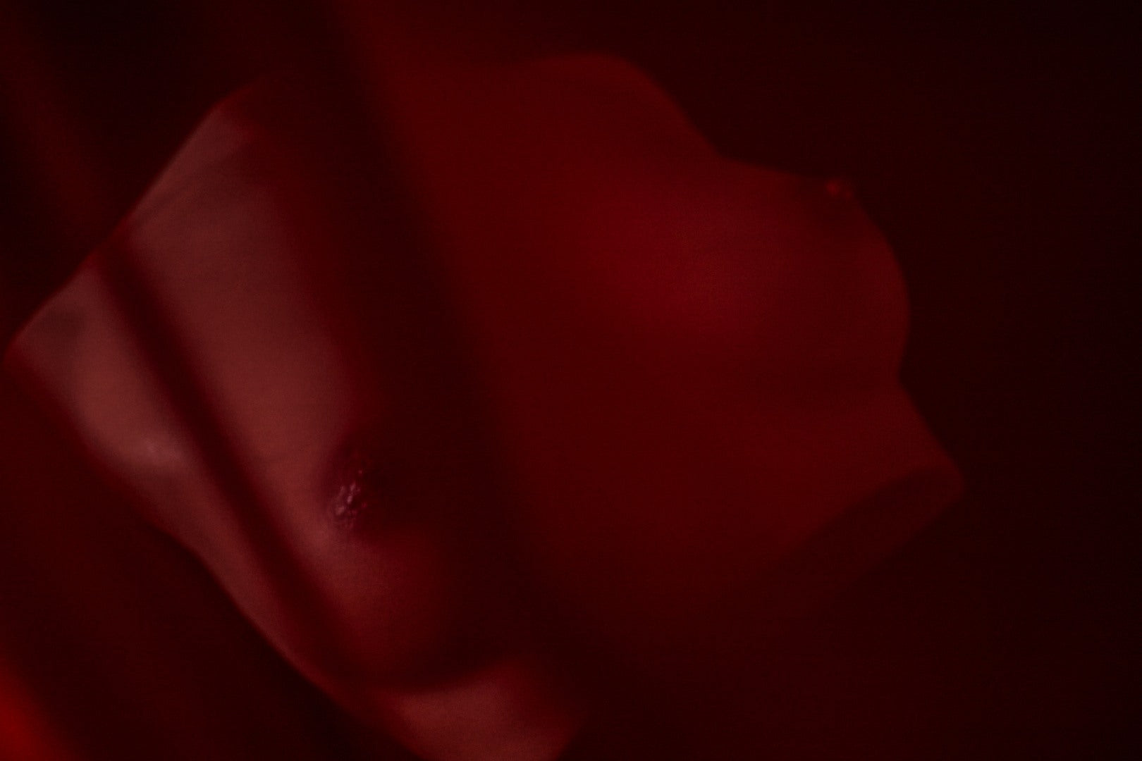 Bröst (S) Torso Sexdocka (Climax Doll Pro B-kupa Silikon)