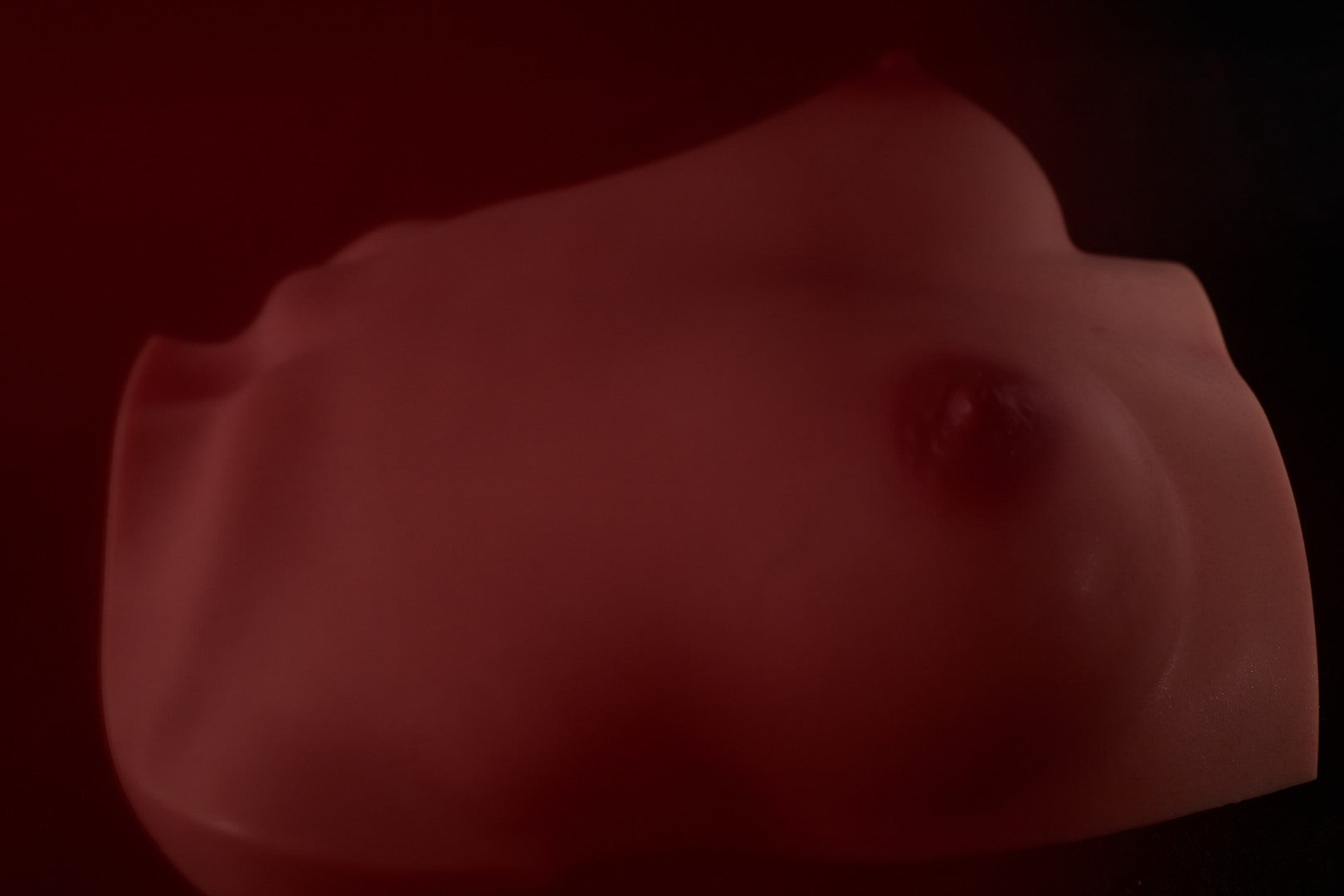 Bröst (S) Torso Sexdocka (Climax Doll Pro B-kupa Silikon)