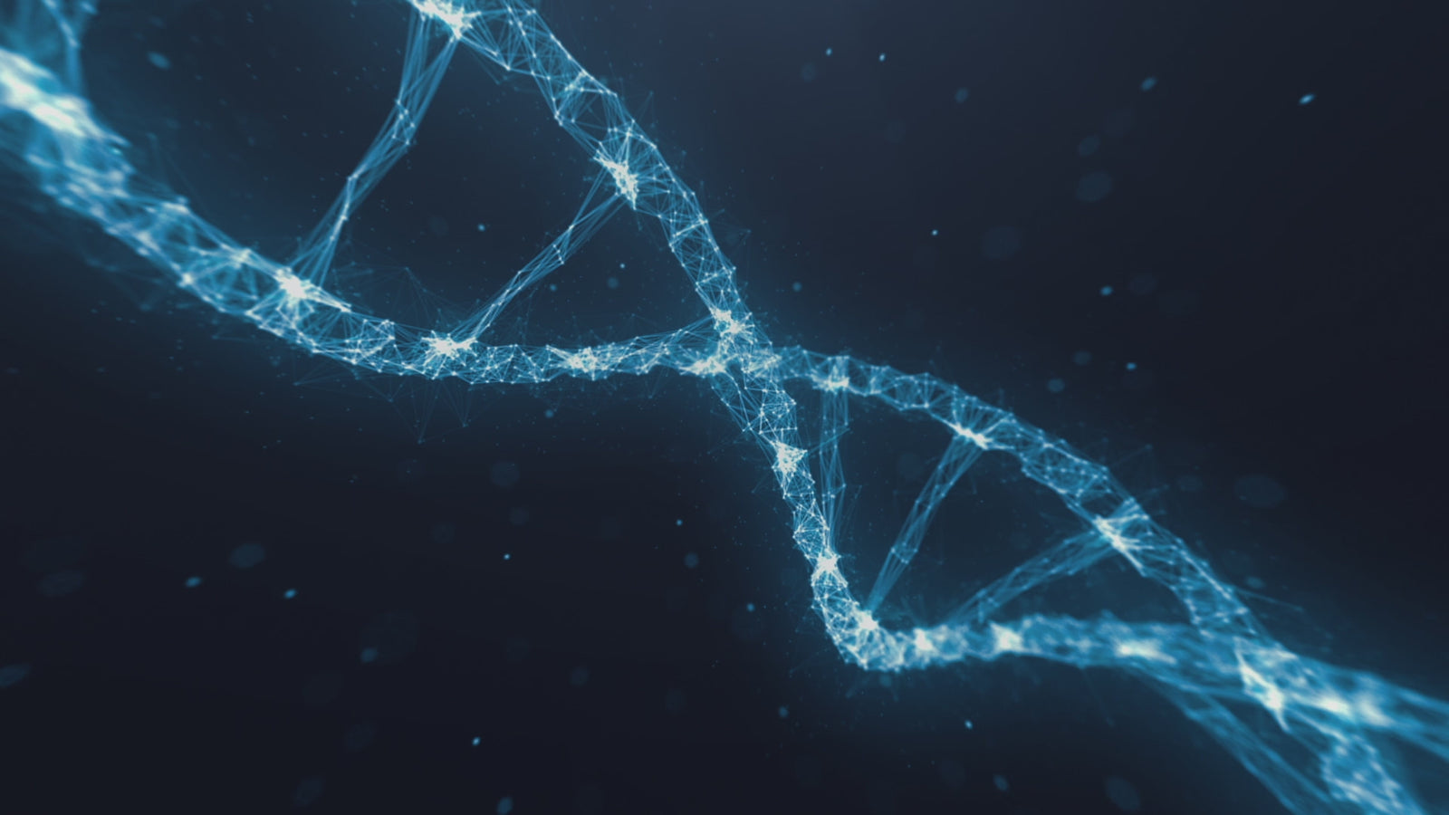 YOYO seksinukke (XT Doll 150cm D-cup #XT-housut4-A silikoni)