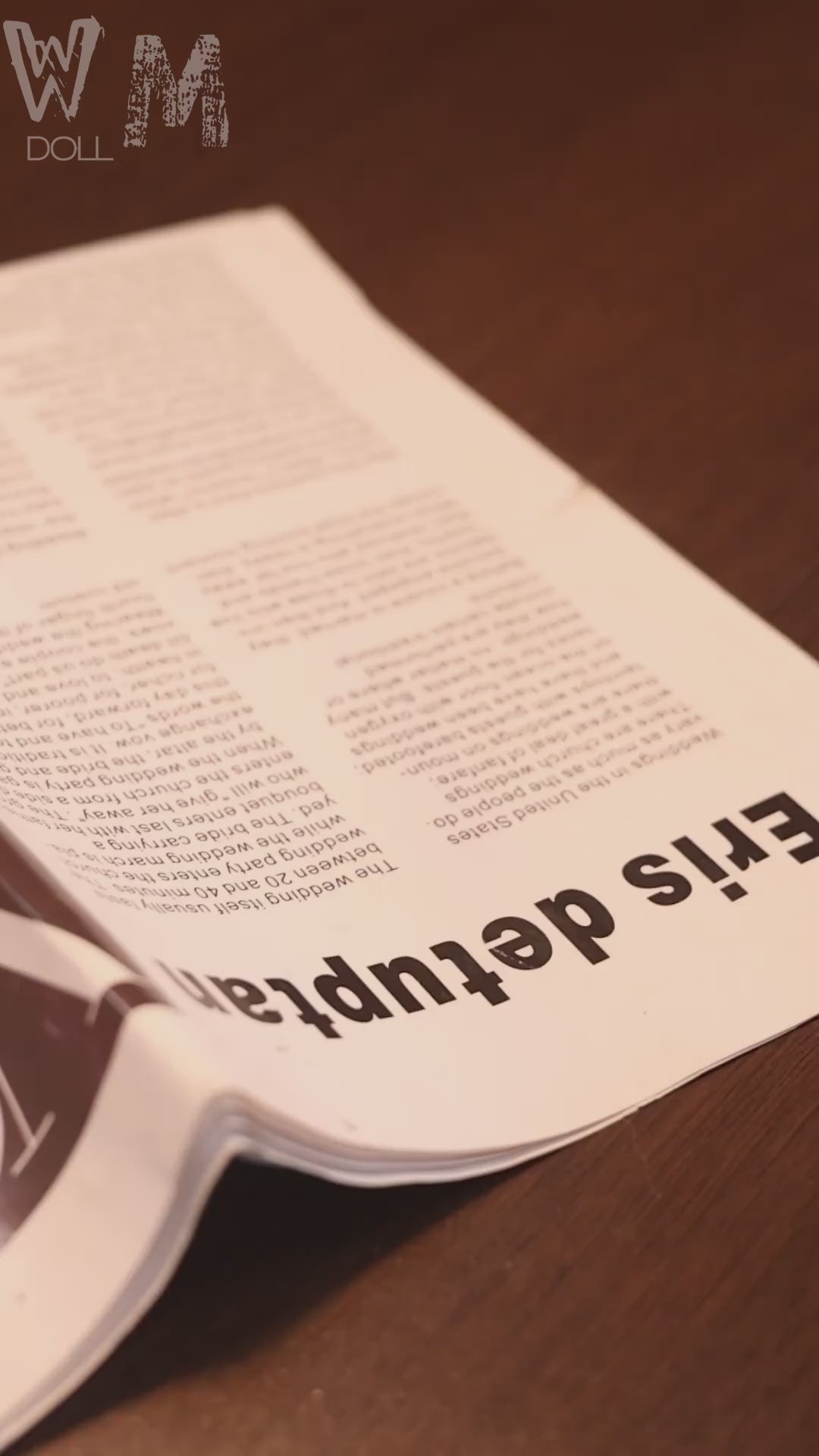 Malou seksinukke (WM-Doll 162cm E-cup #335 TPE)