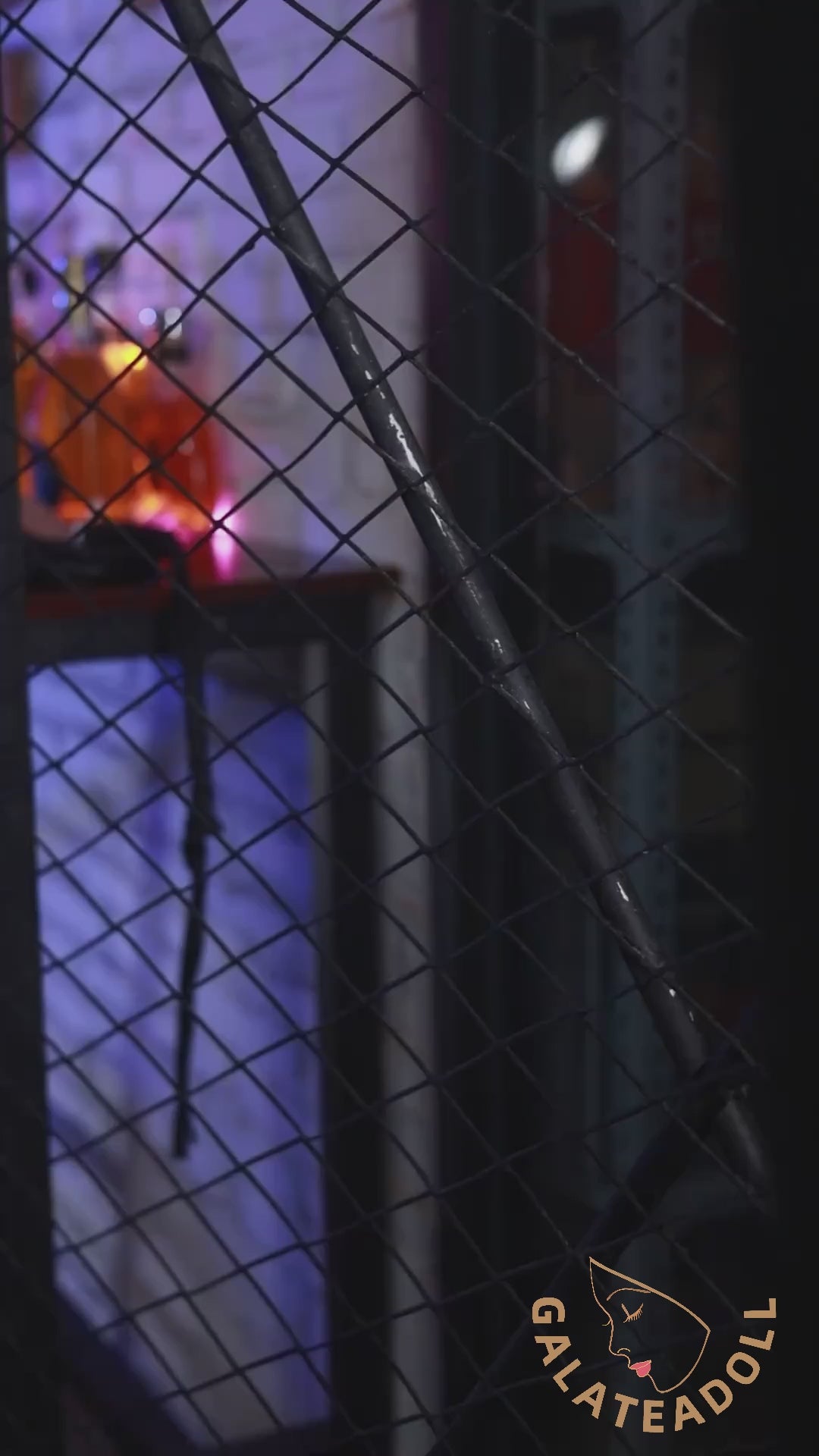 Olena Sex doll (Galatea Doll 162cm C-cup #059 silicone)