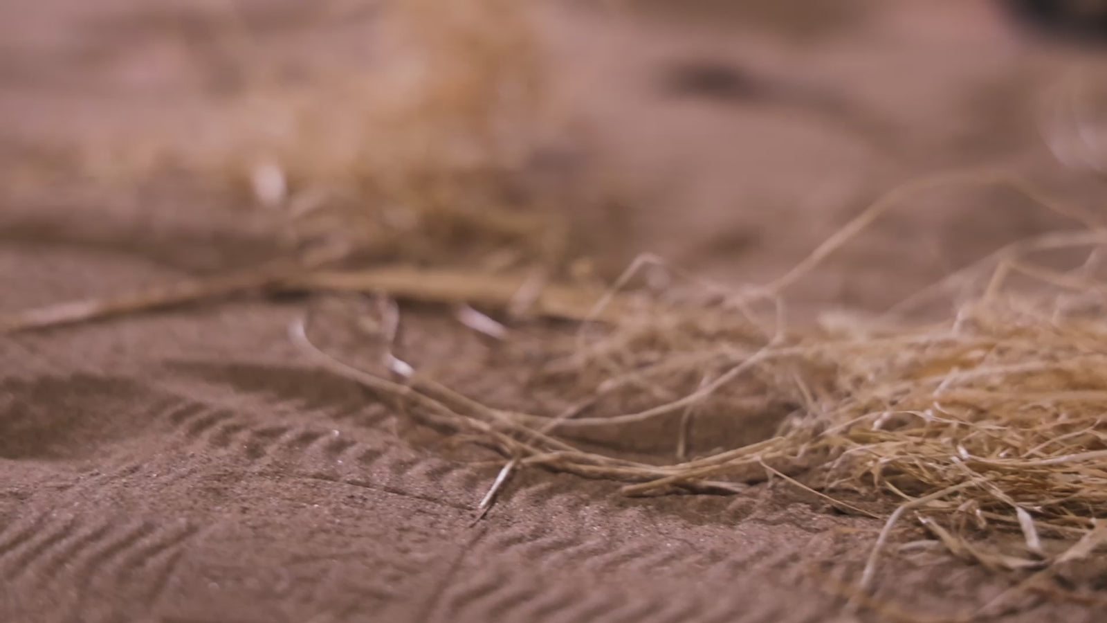 Ailen Sexdocka (Dolls Castle 156cm E-Kupa #A1 TPE)