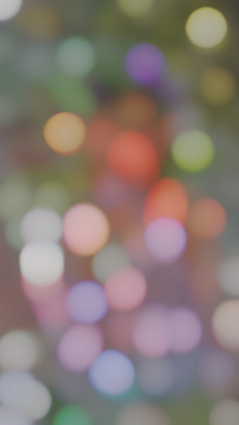 Echo Sex doll (Irontech Doll 167cm E-cup P48 silicone)