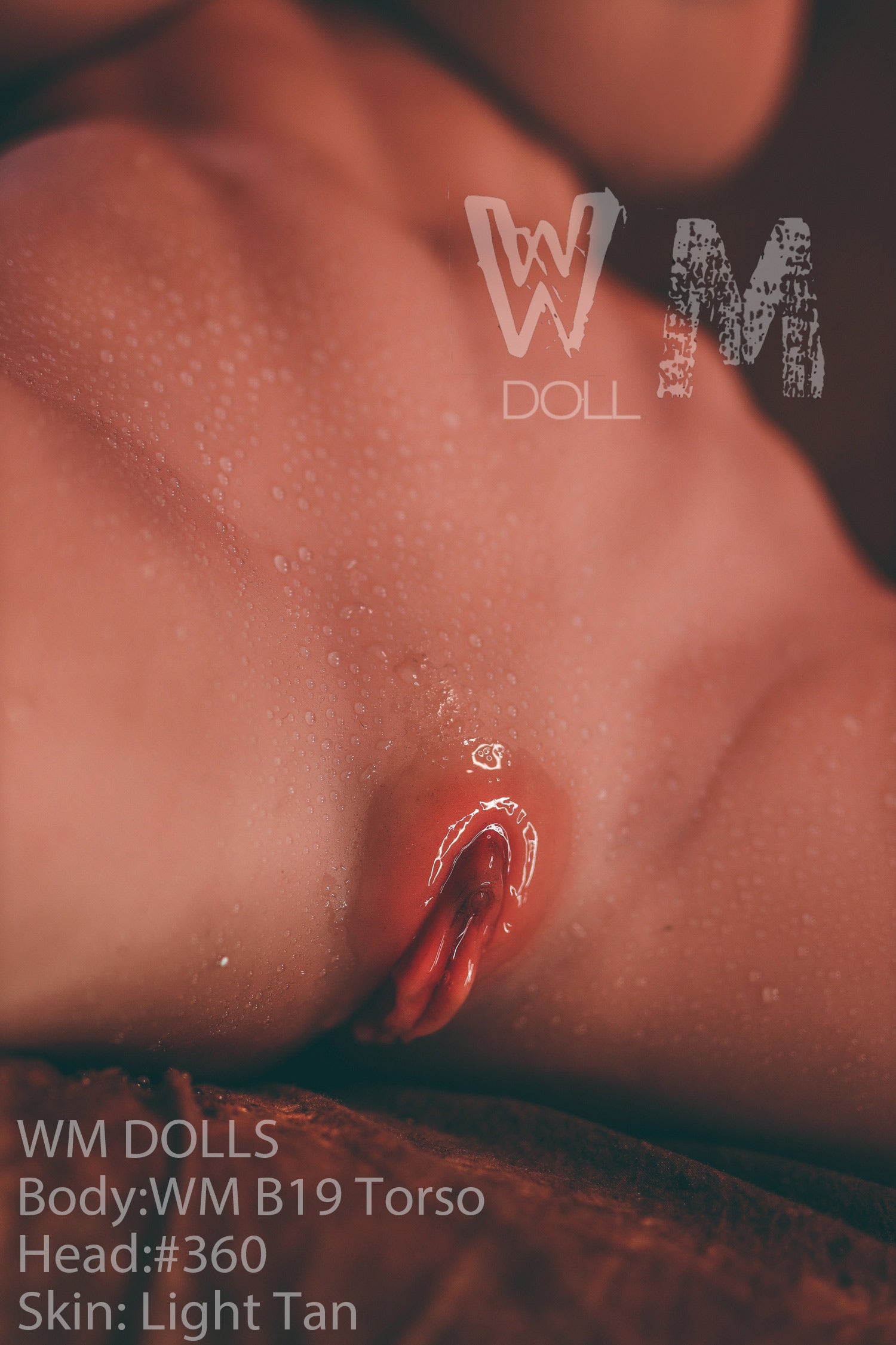 Brandy Sex doll (WM-Doll Torso b19 89cm j-cup #360 TPE)