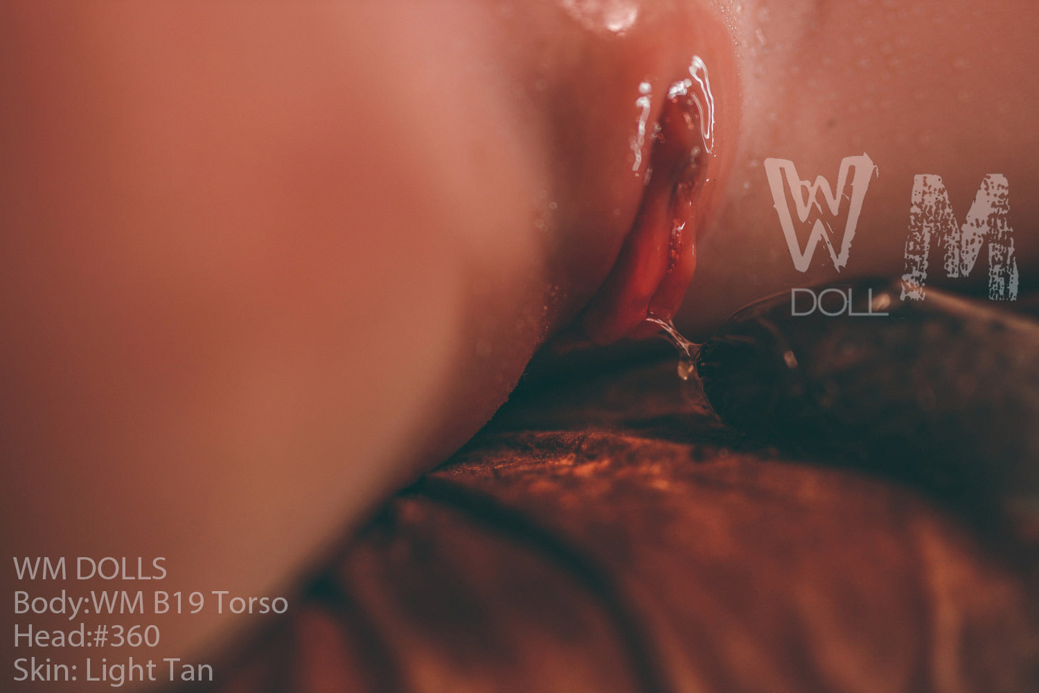 Brandy Sexdocka (WM-Doll Torso B19 89cm J-kupa #360 TPE)